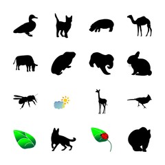 icon Animal with camel, graphic, savanna, asian and walking