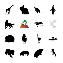 icon Animal with night, cartoon, pictogram, beach  and desing