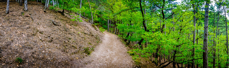 Obraz premium Wander-Lust - Germany