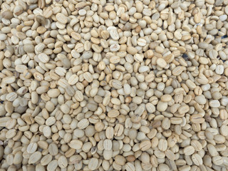 dry coffee seed before delivery to roast in factory