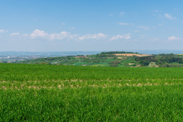 Fototapeta premium Hügellandschaft