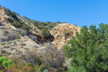 Fototapeta na wymiar Blue sky above hiking trail ridge-line on spring afternoon