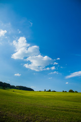 A beautiful green field or pasture on a warm summer day