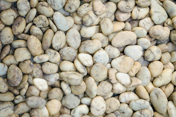 White pebbles river stone background