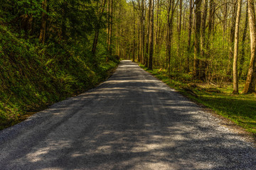 Fototapeta premium Potter's Creek Trail