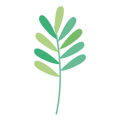 branch with leafs decorative icon vector illustration design