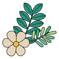 flowers and leafs decorative icon vector illustration design