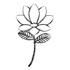 flowers and leafs decorative icon vector illustration design