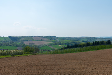 Fototapeta na wymiar Sanfte Hügellandschaft