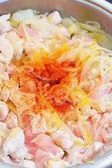 Preparing food meal - chicken meat, onion, curry. Close up. Macro view.