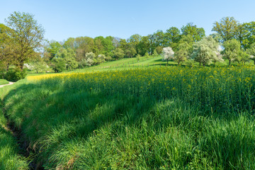 Hügellandschaft