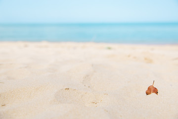 Sea sand and blue sky
