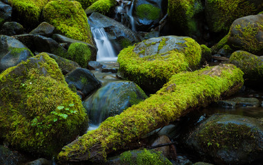 Three moss covered rocks in a mountain stream, Washington, USA