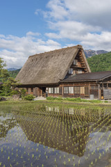 Fototapeta na wymiar Rice field in Historical village Shirakawa-go, Japan.