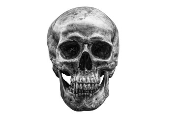 The skull is a symbol of horror and death. In the cemetery. white and black