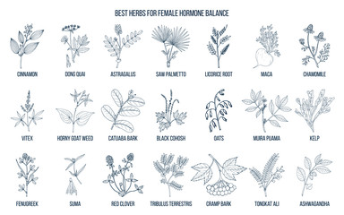 Fototapeta na wymiar Best herbs for female hormone balance