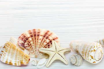 starfish and seashells of different size on white wooden background. macro view 