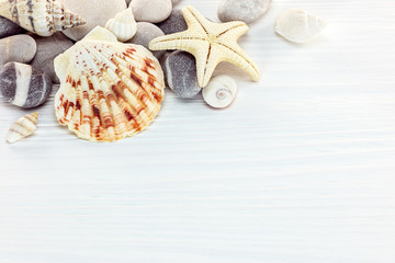 starfish with various seashells and marine pebble on white painted wooden background