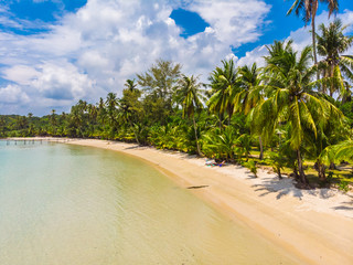 Beautiful Aerial view of beach and sea with coconut palm tree