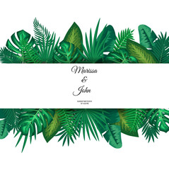 Vector illustration of trendy Summer Tropical Leaves.