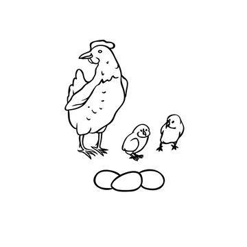 Vector sketch farm birds. Breeding laying hens and chicks, three eggs. Set isolated black-white illustration.