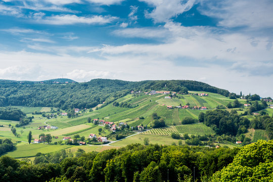 Vineyards in Austria