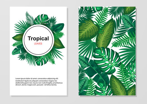 Tropical leaves background. Invitation or card design with leaves. Vector illustration.