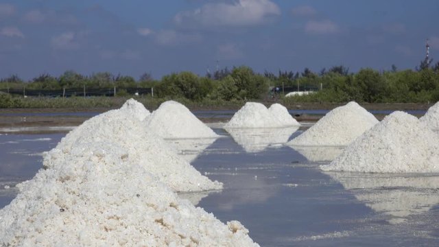 White salt field in sunny day. Royalty high quality free stock footage of white salt field in a beach village. Salt is an important food of people