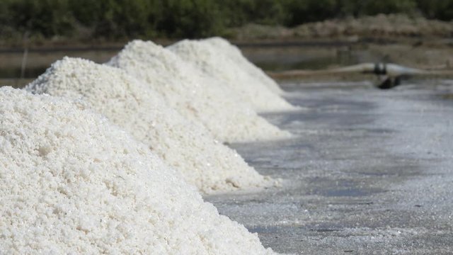 Salt field. The raw white salt field on a sunny day. Royalty high-quality free stock video footage of white salt field in a beach village. Salt is an important food for people