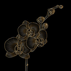 Beautiful golden isolated branch of an orchid. Element for creativity and design.