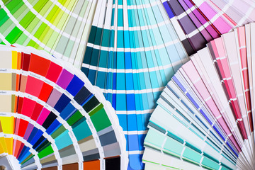 bright color palette