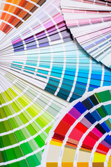 bright color palette