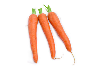 Washed young carrots on a white background