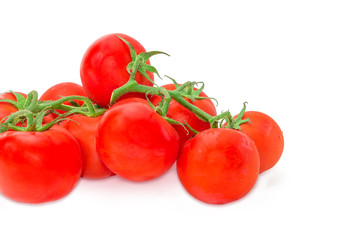 Branches of the ripe red tomatoes closeup at selective focus