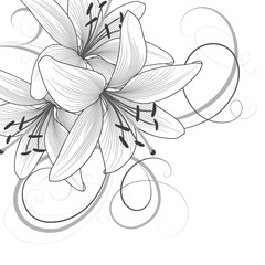 Monochrome background with hand-drawn lily flowers.