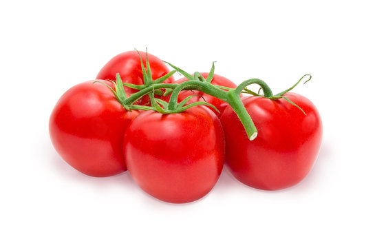 Branch of the red tomatoes on a white background