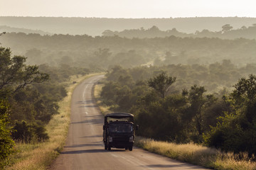 Morning safari drive in Kruger National park, South Africa