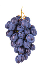 Fresh blue grapes isolated on white background.