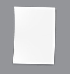 Empty paper, Blank sheet isolated on white background