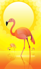 Pink flamingo on sun background