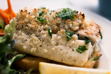 Macadamia crumbed Snapper