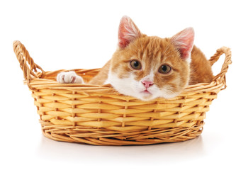 Naklejka na ściany i meble Small kitten in a basket.