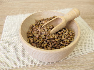 Traubenkerne in einer Holzschale, Vitis viniferae semen