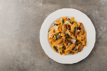Italian salad, pappardelle pasta, with spinach, grilled chicken and dried tomatoes, sprinkled with flakes of cheese.