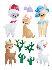 Cute llamas and their cubs. Colorful vector illustrations in cartoon style isolated on a white background.