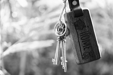Home key with house keyring hanging with blur garden background