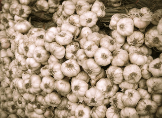 Bunch of fresh garlic sold at the farm.