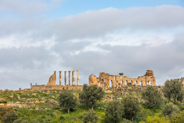Fototapeta premium Landscape