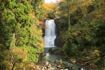 秋の奈曽の白滝　Nasonoshirataki  in autumn / Nikaho, Akita, Japan	