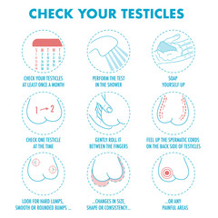 Testicles self exam. Testicle cancer symptoms and monthly examination infographics. Vector icon set.I Illustration for flyers, brochures, web resources, health centers.
